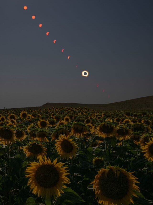 NASA Shares Views of August Solar Eclipse from Ground, Air, Space - NASA Science